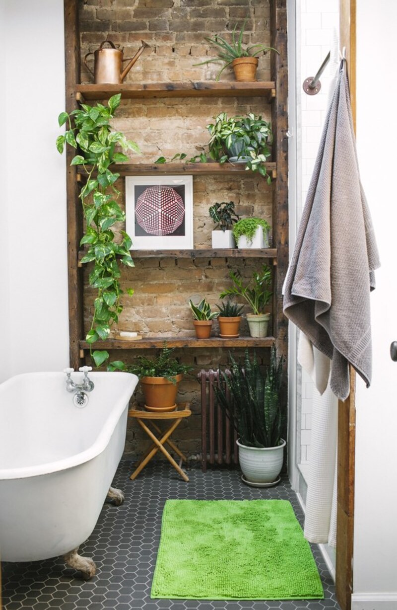Phòng vệ sinh đẹp và hợp lý với cây xanh lọc khí